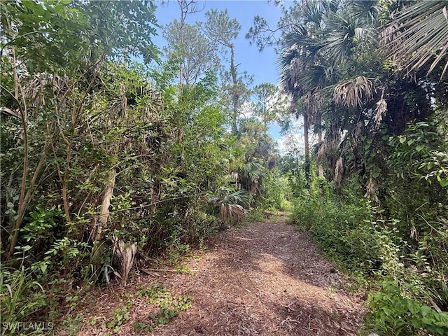 3825 13th Ave SW, Naples, FL 34117 - photo 5
