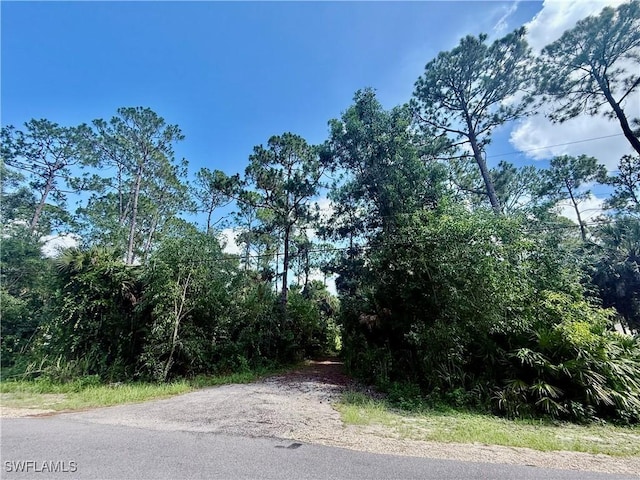 3825 13th Ave SW, Naples, FL 34117 - photo 2