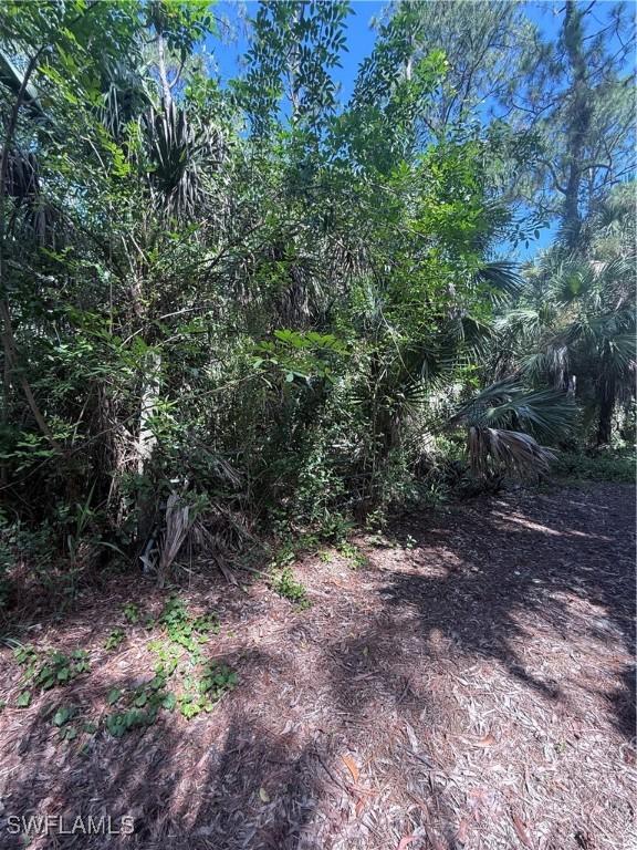 3825 13th Ave SW, Naples, FL 34117 - photo 3