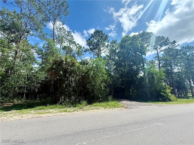3825 13th Ave SW, Naples, FL 34117 - photo 6