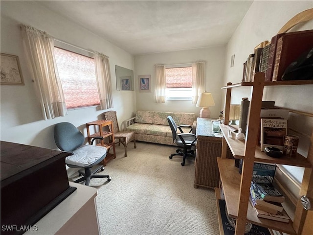 13150 Kings Point Dr Unit 11C, Fort Myers, FL 33919 - view of carpeted home office