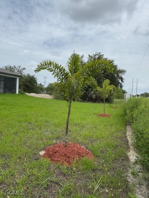 814 Floyd Ave S, Lehigh Acres, FL 33976 - photo 50