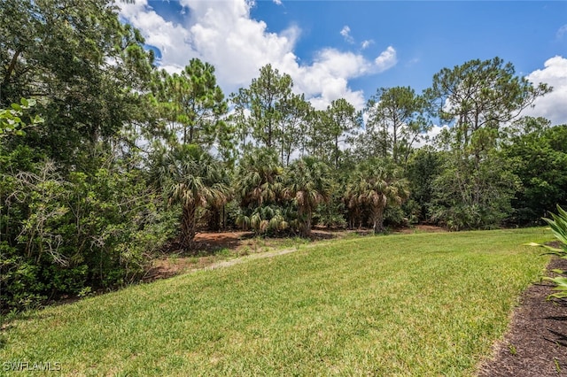7839 Martino Cir, Naples, FL 34112 - photo 45