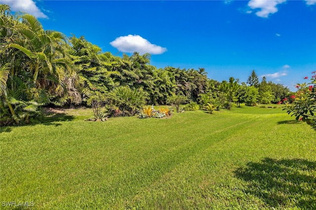 19928 Estero Verde Dr, Fort Myers, FL 33908 - photo 40
