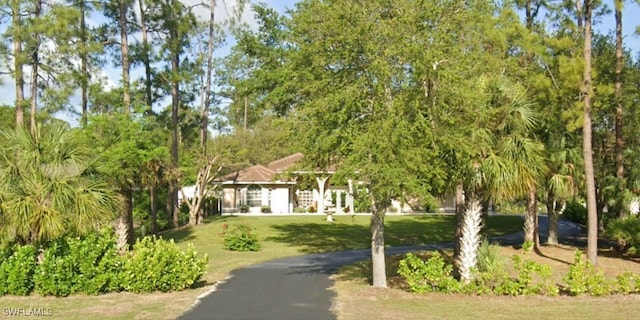 291 Everglades Blvd N, Naples, FL 34120 - view of front facade with a front lawn