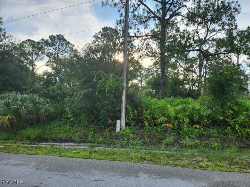 1104 Willard Ave, Lehigh Acres, FL 33972 - photo 3