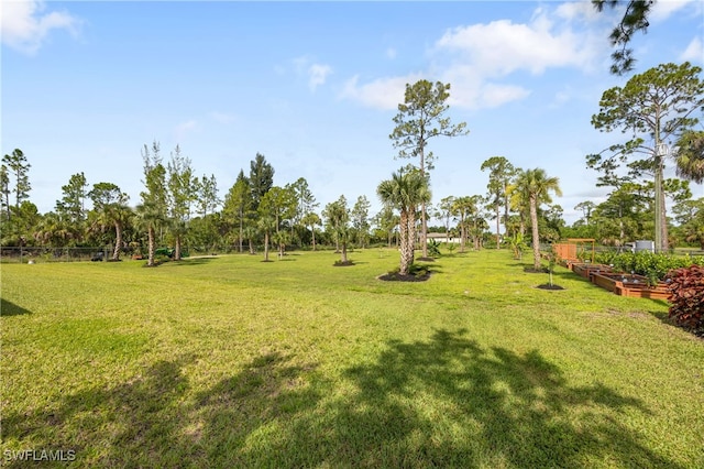 909 8th St SE, Naples, FL 34117 - photo 4