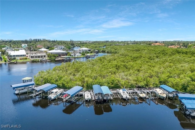 9168 Brendan Preserve Ct, Bonita Springs, FL 34135 - photo 35