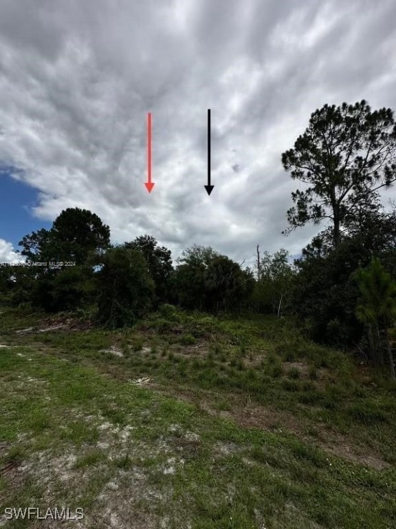 685 N Cabbage Palm St, Clewiston, FL 33430