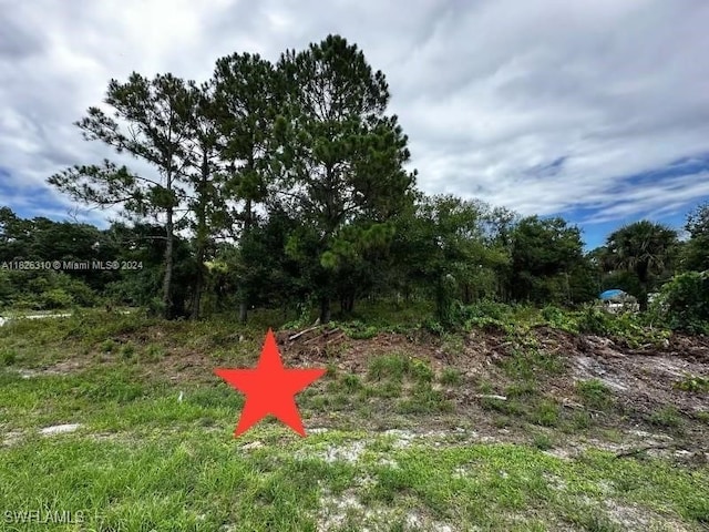 685 N Cabbage Palm St, Clewiston, FL 33430