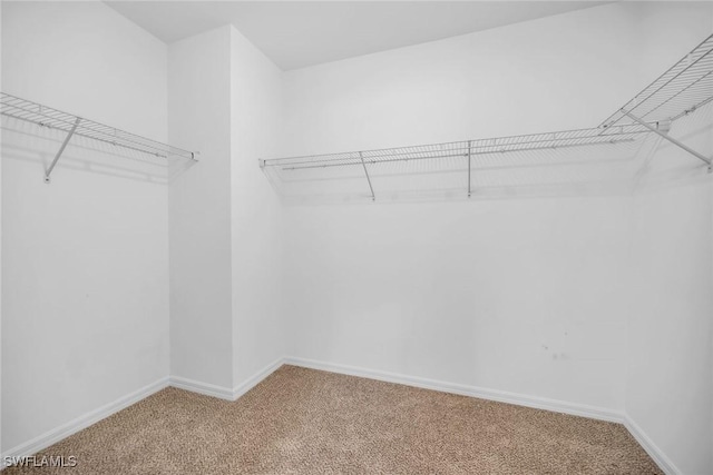 26974 Wildwood Pines Ln, Bonita Springs, FL 34135 - photo 20