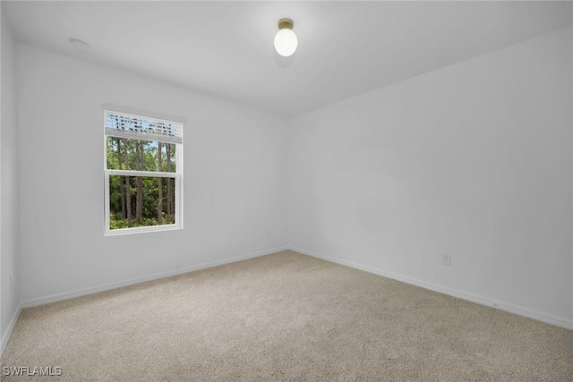 26974 Wildwood Pines Ln, Bonita Springs, FL 34135 - photo 26