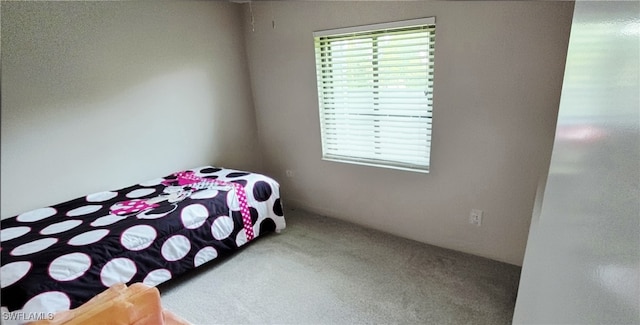 933 SW Santa Barbara Pl, Cape Coral, FL 33991 - photo 20