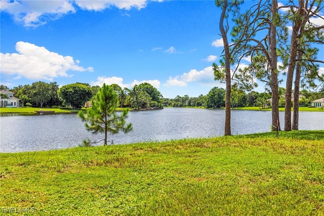 820 Cassena Rd, Naples, FL 34108 - photo 6