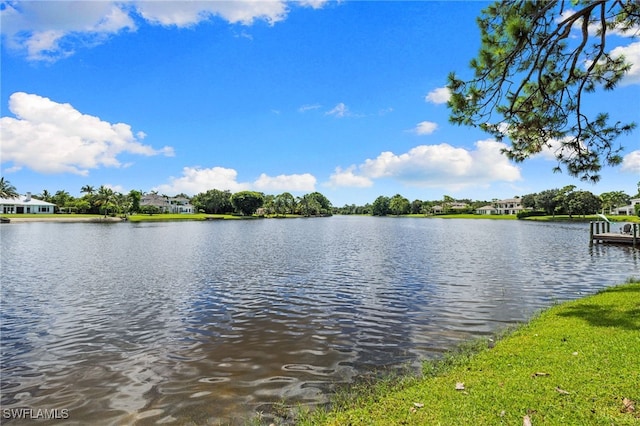820 Cassena Rd, Naples, FL 34108 - photo 5