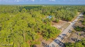 2109 Irving Ave, Alva, FL 33920