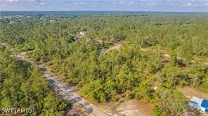 2109 Irving Ave, Alva, FL 33920