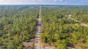 2109 Irving Ave, Alva, FL 33920
