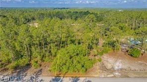 2109 Irving Ave, Alva, FL 33920