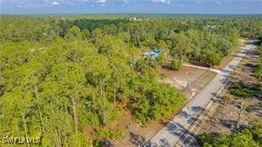 2109 Irving Ave, Alva, FL 33920