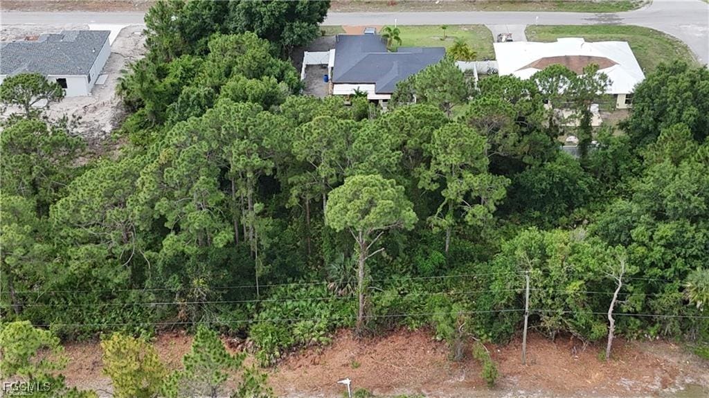 822 Carpenter St E, Lehigh Acres, FL 33974 - photo 1