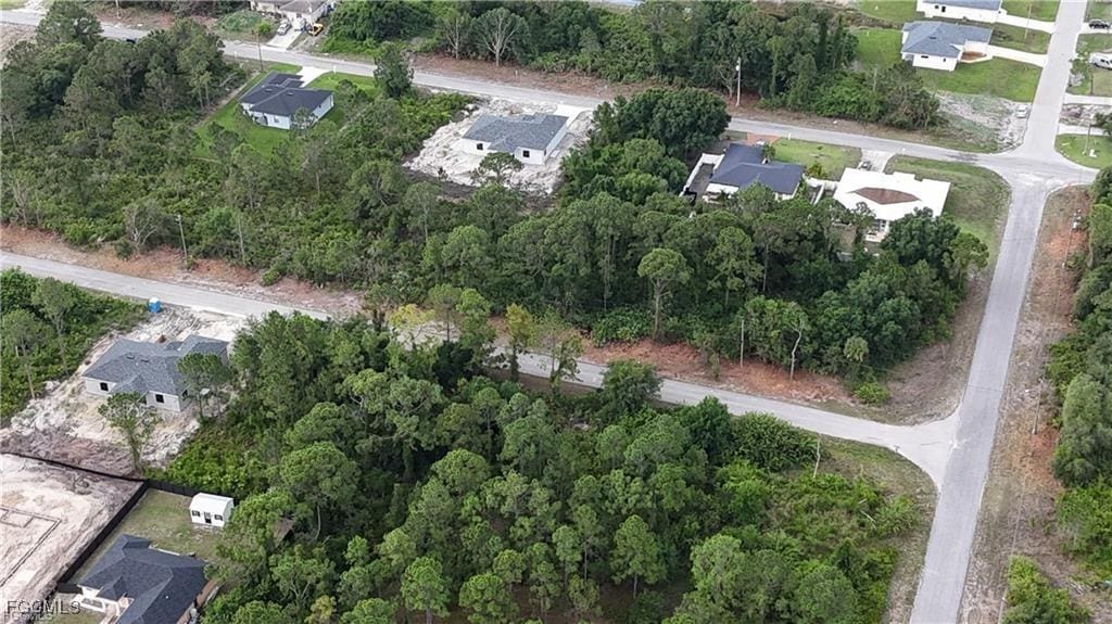 822 Carpenter St E, Lehigh Acres, FL 33974 - photo 3