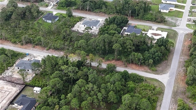 822 Carpenter St E, Lehigh Acres, FL 33974 - photo 3