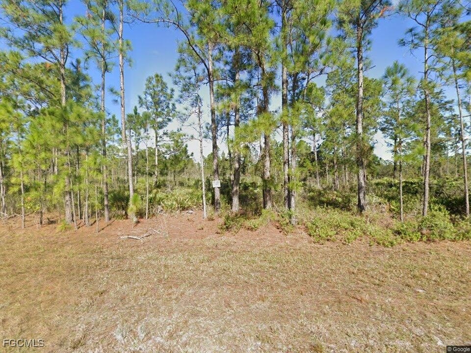 1211 Roosevelt Ave, Lehigh Acres, FL 33972 - photo 1