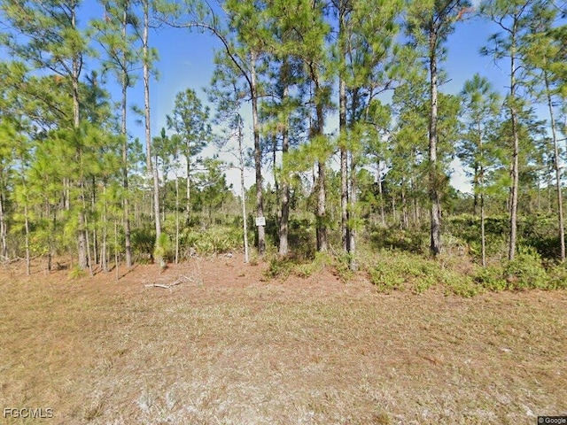 1211 Roosevelt Ave, Lehigh Acres, FL 33972