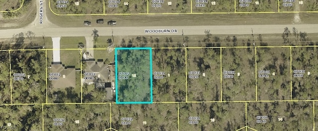 249 Woodburn Dr, Lehigh Acres, FL 33972
