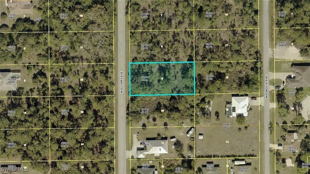 806 Williams Ave, Lehigh Acres, FL 33972 - photo 2