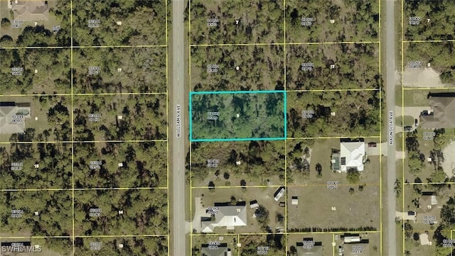 806 Williams Ave, Lehigh Acres, FL 33972 - photo 2