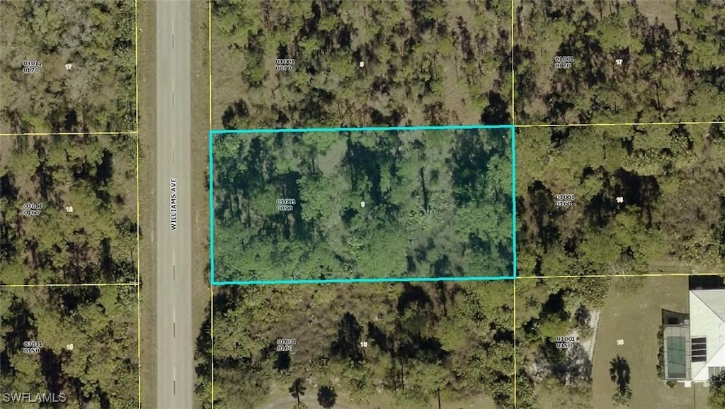 806 Williams Ave, Lehigh Acres, FL 33972 - photo 1