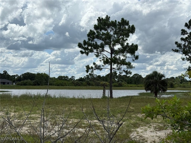 937 Grant Blvd, Lehigh Acres, FL 33974 - photo 27