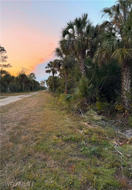 4187 36th Ave SE, Naples, FL 34117 - photo 4