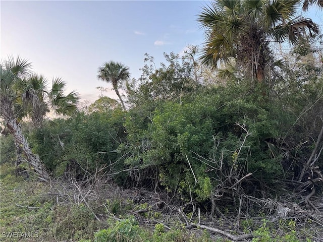 4187 36th Ave SE, Naples, FL 34117 - photo 1