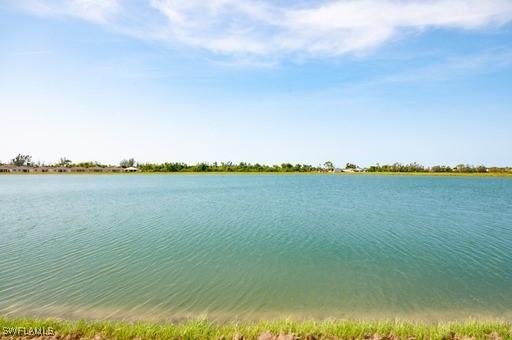 663 Parkshore Lake Ave, Cape Coral, FL 33993 - photo 37