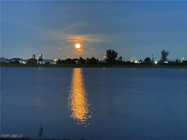 663 Parkshore Lake Ave, Cape Coral, FL 33993 - photo 1