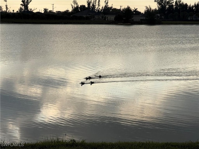 663 Parkshore Lake Ave, Cape Coral, FL 33993 - photo 35