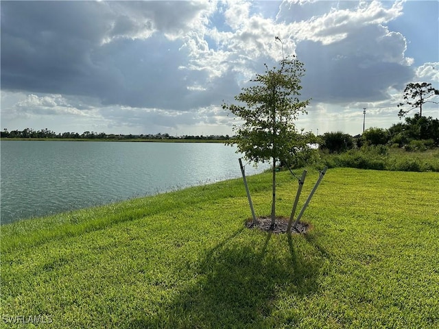 663 Parkshore Lake Ave, Cape Coral, FL 33993 - photo 36