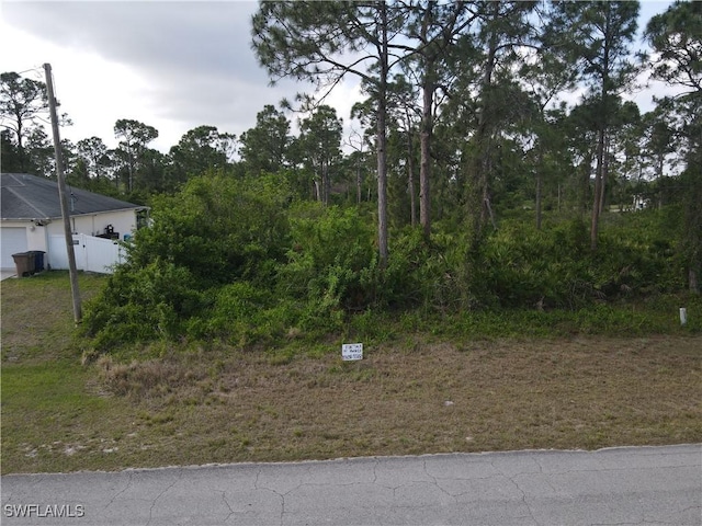 1108 Nimitz Blvd, Lehigh Acres, FL 33974 - photo 2
