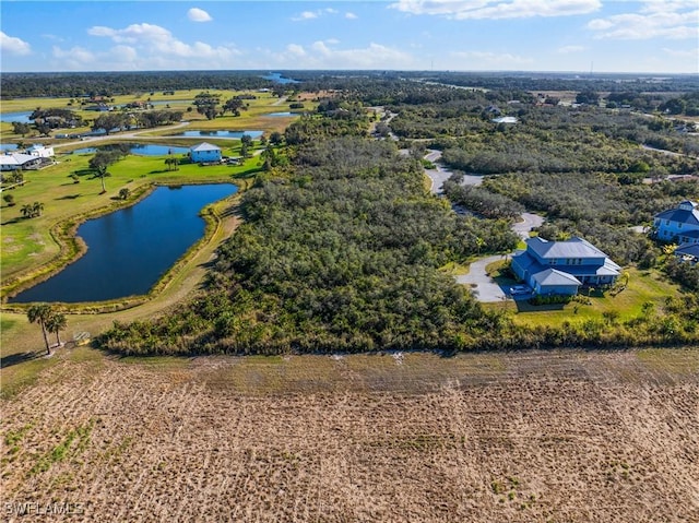 22921 Florida Rosemary Ln, Alva, FL 33920 - photo 5