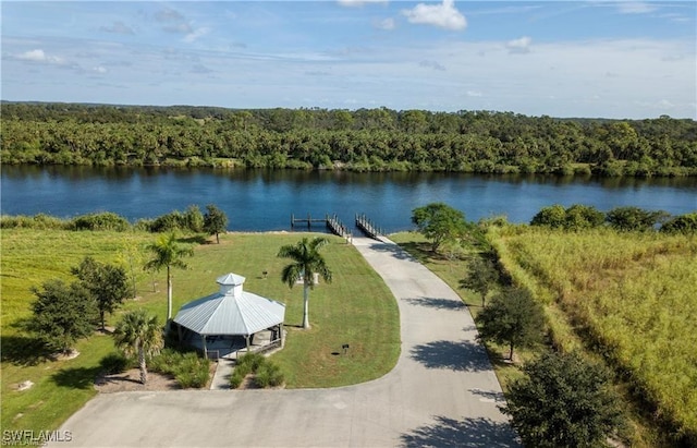 22921 Florida Rosemary Ln, Alva, FL 33920 - photo 6