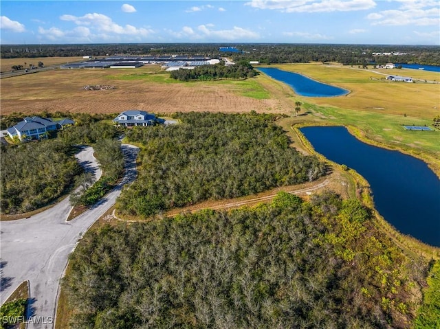22921 Florida Rosemary Ln, Alva, FL 33920 - photo 10