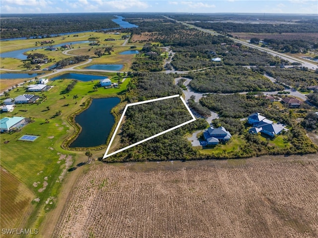 22921 Florida Rosemary Ln, Alva, FL 33920 - photo 3
