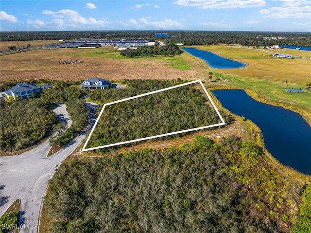 22921 Florida Rosemary Ln, Alva, FL 33920 - photo 4