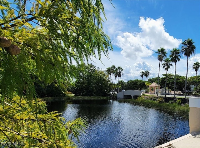 28501 Hidden Lake Dr, Bonita Springs, FL 34134 - photo 34