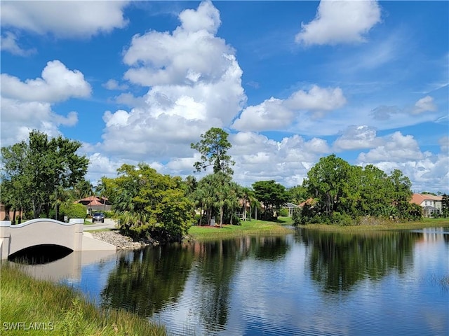 28501 Hidden Lake Dr, Bonita Springs, FL 34134 - photo 33