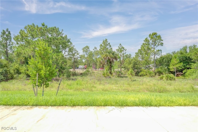 805/807 W 12th St, Lehigh Acres, FL 33972 - photo 31
