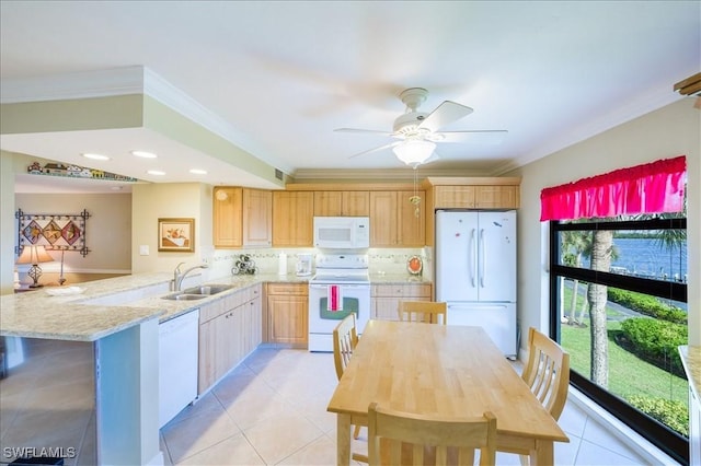 1085 Bald Eagle Dr Unit C308, Marco Island, FL 34145 - photo 14